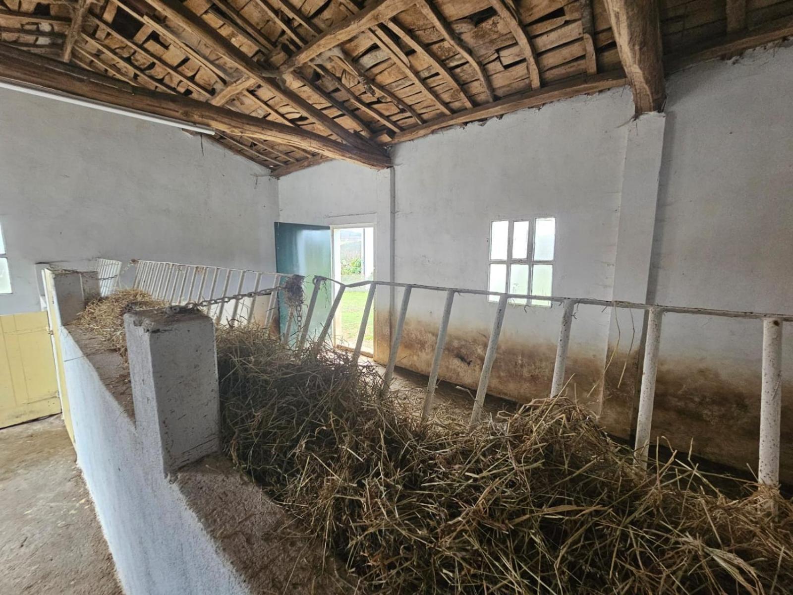 Casa David-con Cuadras Caballos *