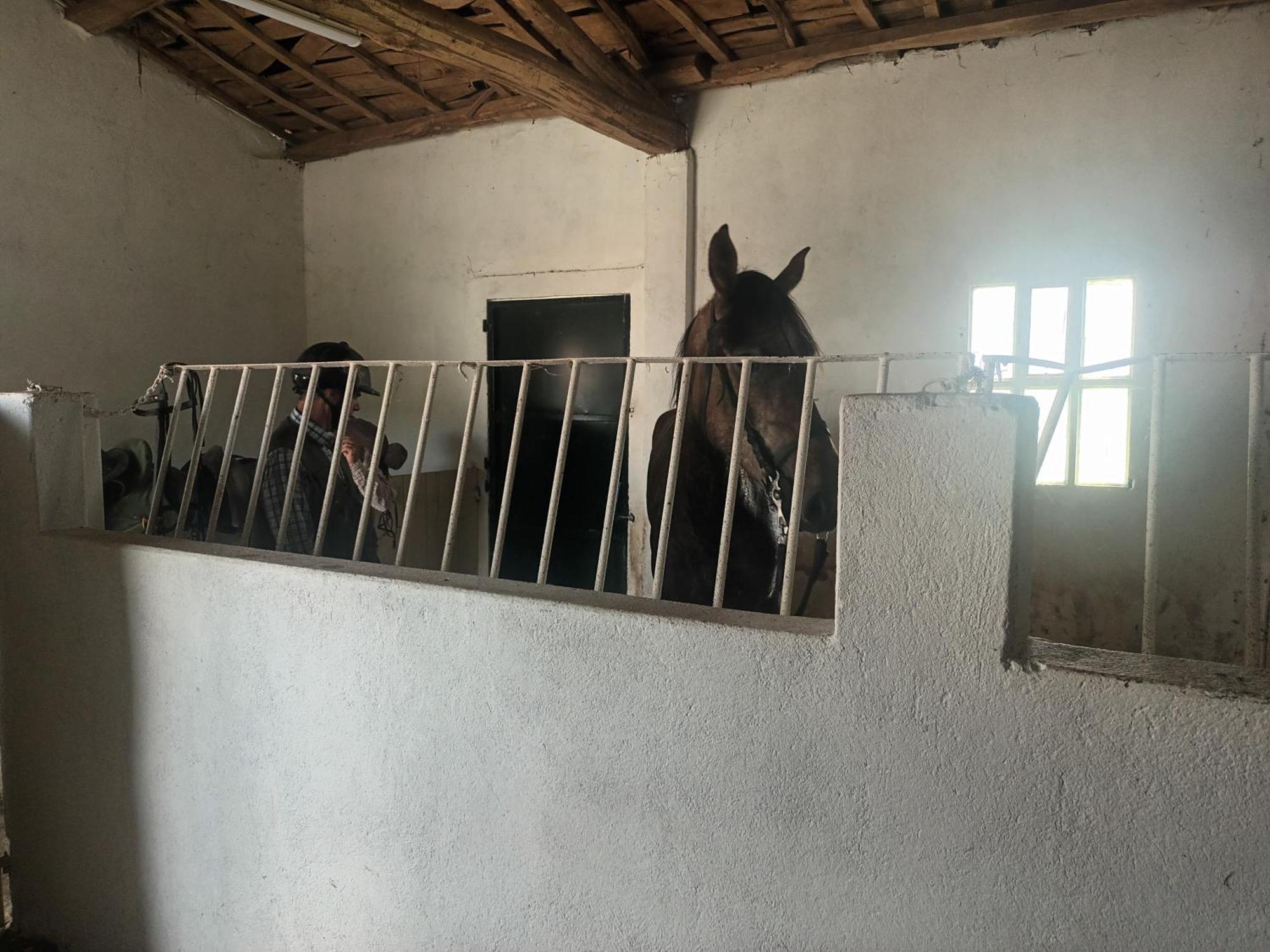 Appartement Casa David-con Cuadras Caballos