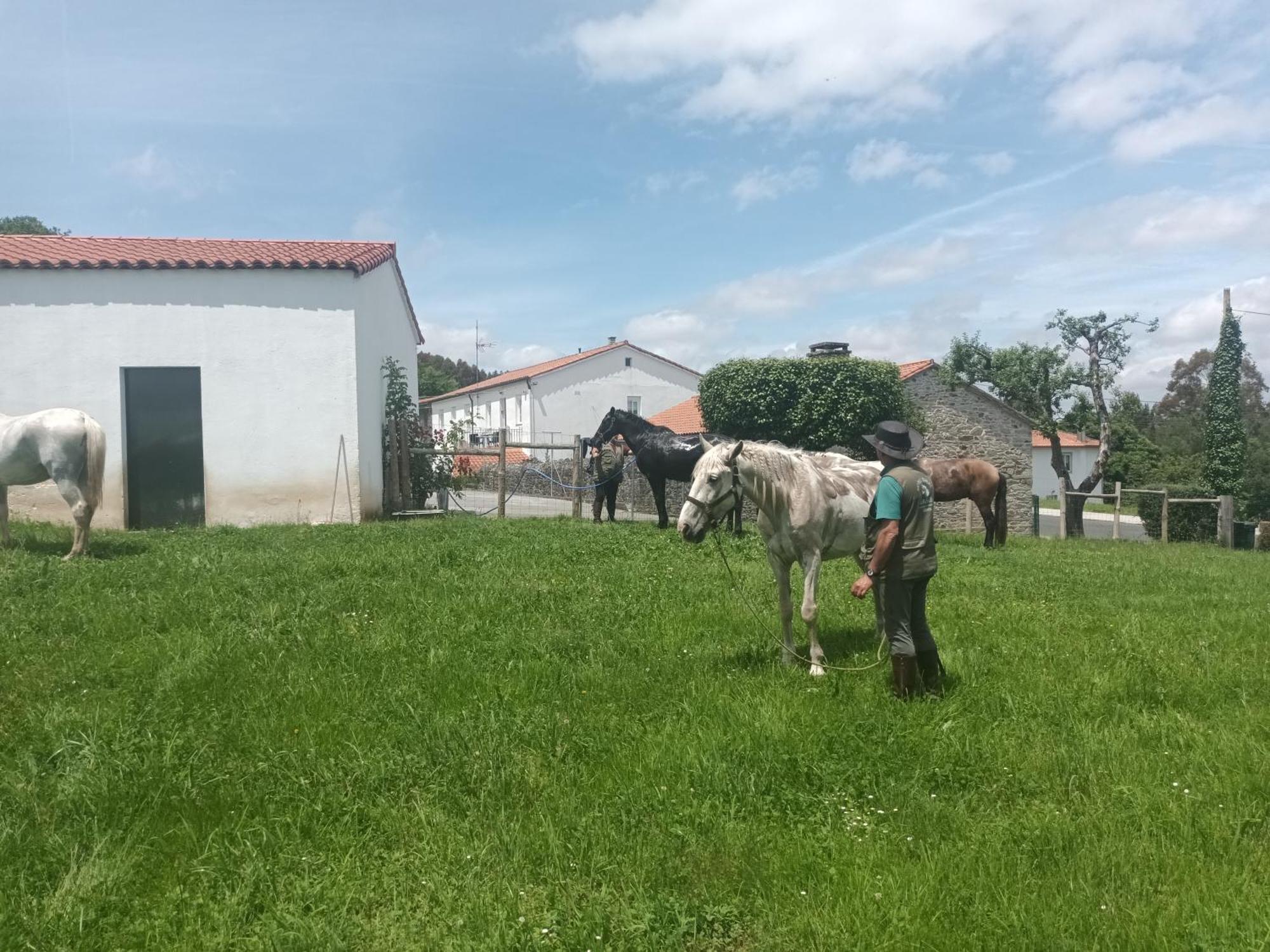 Casa David-con Cuadras Caballos Arzúa