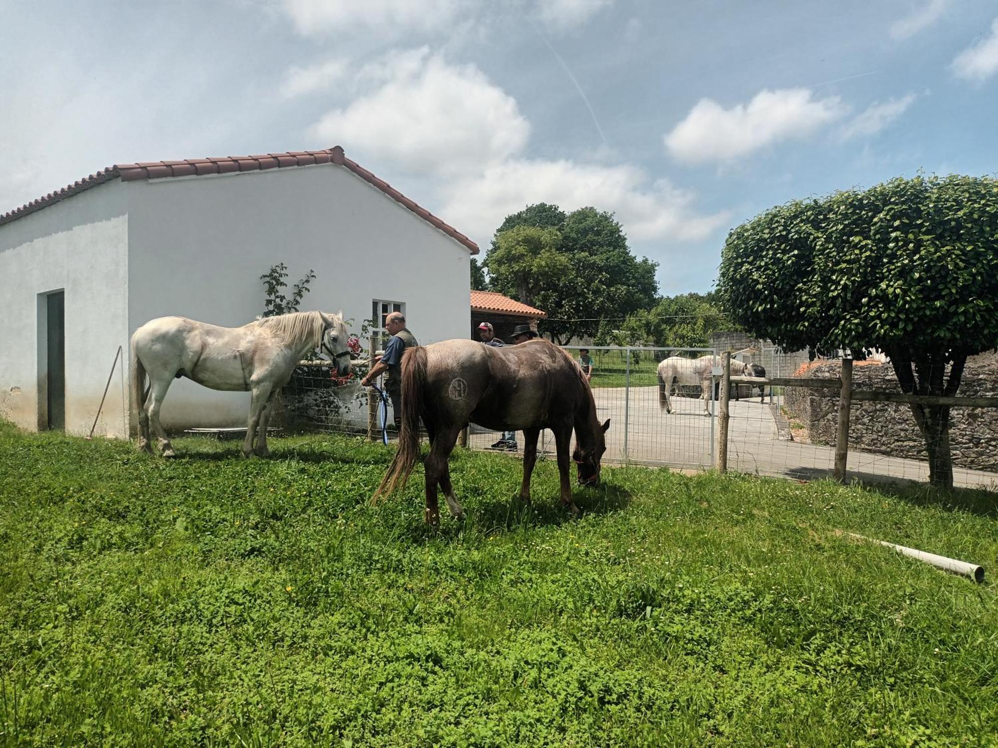 Casa David-con Cuadras Caballos Arzúa